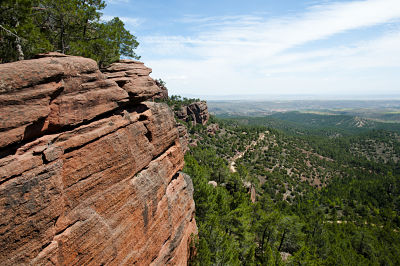 Pinar del Ródeno