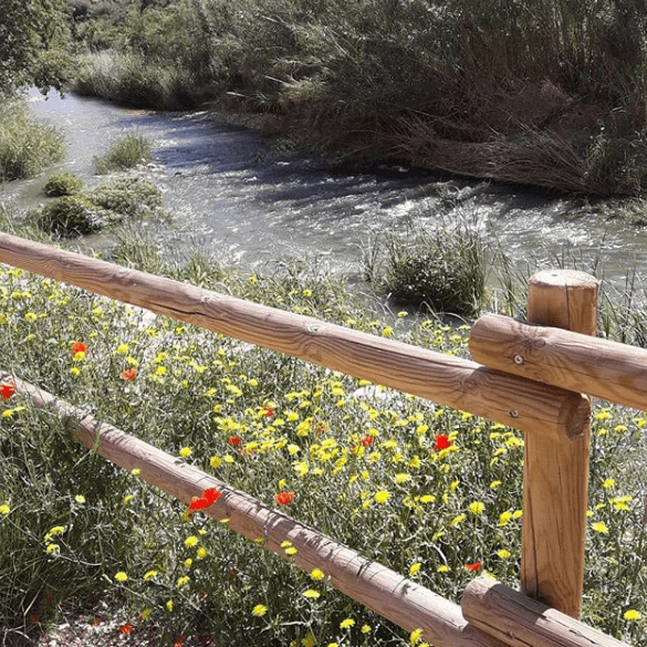 rio martin en Albalate del Arzobispo