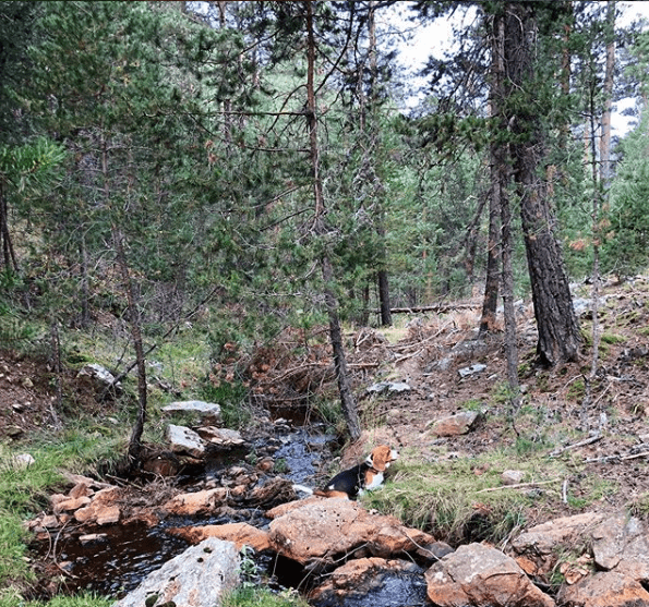 rio de orihuela del tremedal