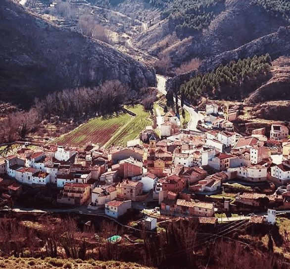 cañizar del olivar