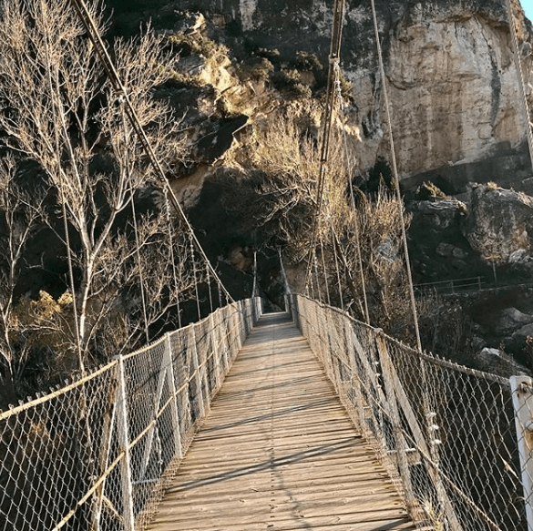 pasarela ariño