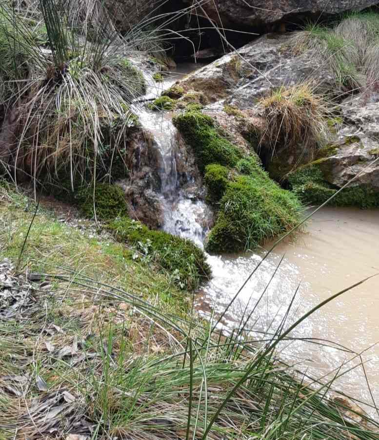 río barrando del pantano