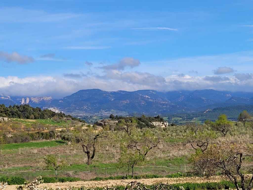 paisaje matarraña dede monroyo