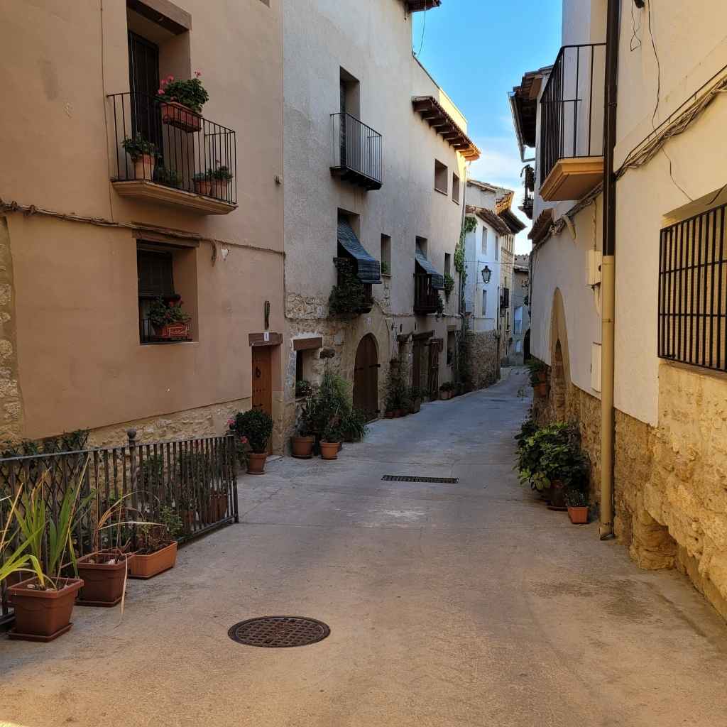 calle con flores de belmonte de san jose