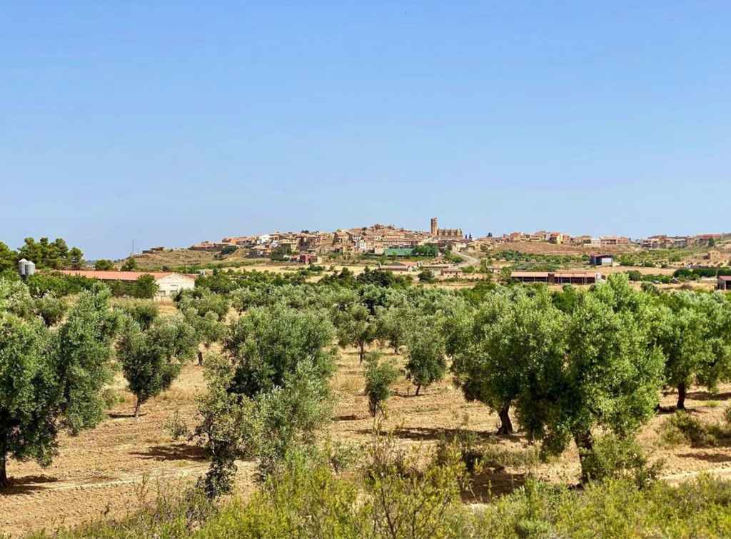 cretas matarraña teruel aragón